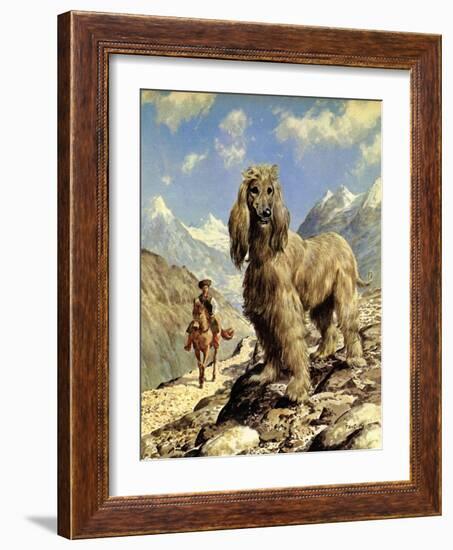 Afghan Hound-Eric Tansley-Framed Giclee Print