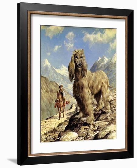 Afghan Hound-Eric Tansley-Framed Giclee Print