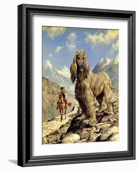 Afghan Hound-Eric Tansley-Framed Giclee Print