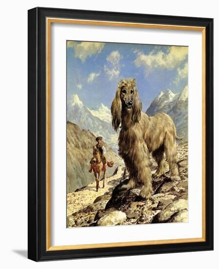 Afghan Hound-Eric Tansley-Framed Giclee Print