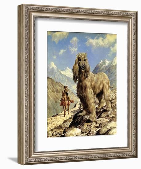 Afghan Hound-Eric Tansley-Framed Giclee Print