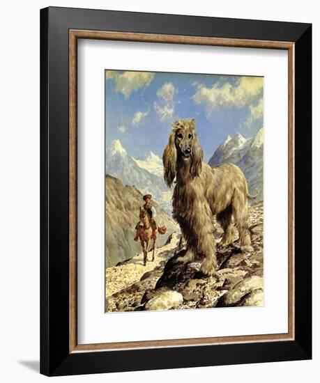 Afghan Hound-Eric Tansley-Framed Giclee Print