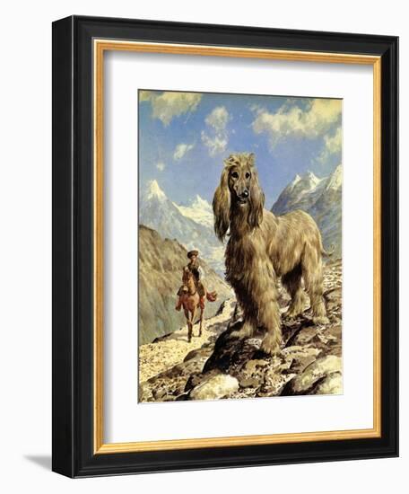 Afghan Hound-Eric Tansley-Framed Giclee Print