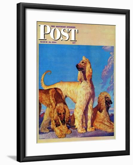 "Afghan Hounds," Saturday Evening Post Cover, March 18, 1944-Rutherford Boyd-Framed Giclee Print