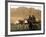 Afghan Kids Ride on a Horse Carriage in Kandahar City, Afghanistan-null-Framed Photographic Print
