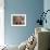 Afghan Refugee Child Looks on in a Neighborhood of Rawalpindi, Pakistan-null-Framed Photographic Print displayed on a wall