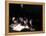 Afghan School Girls Read their Lessons at the Aziz Afghan Secondary School in Kabul, Afghanistan-null-Framed Premier Image Canvas