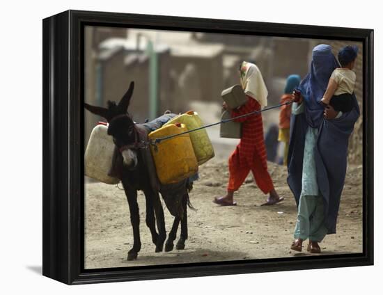 Afghan Woman Walks Along with Donkey Carrying Jerry Cans Filled with Water in Kabul, Afghanistan-null-Framed Premier Image Canvas