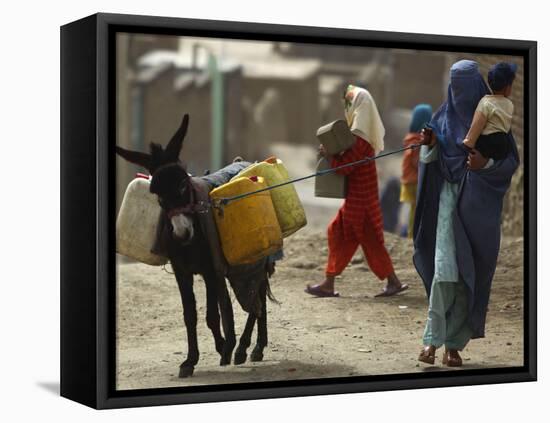 Afghan Woman Walks Along with Donkey Carrying Jerry Cans Filled with Water in Kabul, Afghanistan-null-Framed Premier Image Canvas