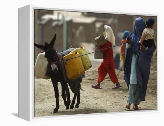 Afghan Woman Walks Along with Donkey Carrying Jerry Cans Filled with Water in Kabul, Afghanistan-null-Framed Premier Image Canvas