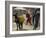 Afghan Woman Walks Along with Donkey Carrying Jerry Cans Filled with Water in Kabul, Afghanistan-null-Framed Photographic Print