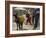 Afghan Woman Walks Along with Donkey Carrying Jerry Cans Filled with Water in Kabul, Afghanistan-null-Framed Photographic Print