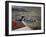 Afghan Youth Sits on a Rooftop During the Celebration of Nowruz-null-Framed Photographic Print