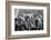 Afghanis during President Eisenhower's visit to Kabul, 1959-Thomas J. O'halloran-Framed Photographic Print