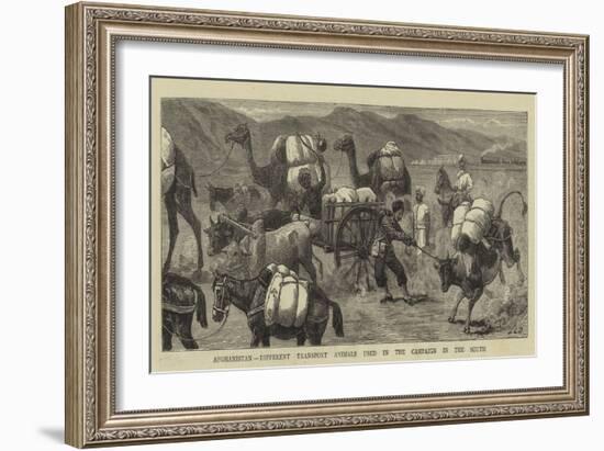 Afghanistan, Different Transport Animals Used in the Campaign in the South-John Charles Dollman-Framed Giclee Print