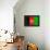 Afghanistan Flag Design with Wood Patterning - Flags of the World Series-Philippe Hugonnard-Framed Stretched Canvas displayed on a wall