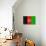 Afghanistan Flag Design with Wood Patterning - Flags of the World Series-Philippe Hugonnard-Premium Giclee Print displayed on a wall