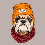 Bulldog Portrait in a Hipster Hat and with Knitted Scarf. Vector Illustration.-Afishka-Art Print