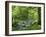 Afon Artro Passing Through Natural Oak Wood, Llanbedr, Gwynedd, Wales, United Kingdom, Europe-Pearl Bucknall-Framed Photographic Print