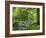 Afon Artro Passing Through Natural Oak Wood, Llanbedr, Gwynedd, Wales, United Kingdom, Europe-Pearl Bucknall-Framed Photographic Print