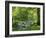 Afon Artro Passing Through Natural Oak Wood, Llanbedr, Gwynedd, Wales, United Kingdom, Europe-Pearl Bucknall-Framed Photographic Print