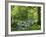 Afon Artro Passing Through Natural Oak Wood, Llanbedr, Gwynedd, Wales, United Kingdom, Europe-Pearl Bucknall-Framed Photographic Print