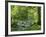 Afon Artro Passing Through Natural Oak Wood, Llanbedr, Gwynedd, Wales, United Kingdom, Europe-Pearl Bucknall-Framed Photographic Print