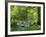 Afon Artro Passing Through Natural Oak Wood, Llanbedr, Gwynedd, Wales, United Kingdom, Europe-Pearl Bucknall-Framed Photographic Print