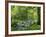 Afon Artro Passing Through Natural Oak Wood, Llanbedr, Gwynedd, Wales, United Kingdom, Europe-Pearl Bucknall-Framed Photographic Print