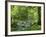 Afon Artro Passing Through Natural Oak Wood, Llanbedr, Gwynedd, Wales, United Kingdom, Europe-Pearl Bucknall-Framed Photographic Print