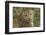 Africa, Botswana, Savute Game Reserve. Portrait of Resting Adult Leopard-Jaynes Gallery-Framed Photographic Print