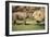 Africa, Captive Southern White Rhino with Young-Roy Toft-Framed Photographic Print