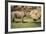 Africa, Captive Southern White Rhino with Young-Roy Toft-Framed Photographic Print