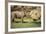 Africa, Captive Southern White Rhino with Young-Roy Toft-Framed Photographic Print