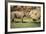 Africa, Captive Southern White Rhino with Young-Roy Toft-Framed Photographic Print