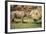 Africa, Captive Southern White Rhino with Young-Roy Toft-Framed Photographic Print