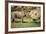 Africa, Captive Southern White Rhino with Young-Roy Toft-Framed Photographic Print