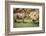 Africa, Captive Southern White Rhino with Young-Roy Toft-Framed Photographic Print