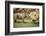 Africa, Captive Southern White Rhino with Young-Roy Toft-Framed Photographic Print