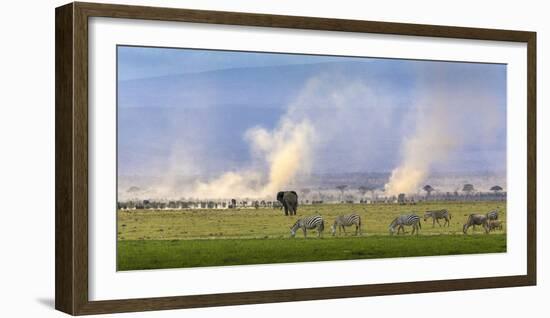 Africa elephant, wildebeests and plains zebras, Amboseli National Park, Kenya-Art Wolfe-Framed Photographic Print