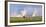 Africa elephant, wildebeests and plains zebras, Amboseli National Park, Kenya-Art Wolfe-Framed Photographic Print