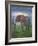 Africa Elephant-Greg Simanson-Framed Giclee Print