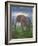 Africa Elephant-Greg Simanson-Framed Giclee Print