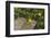 Africa, Ethiopia, Ethiopian Highlands, Western Amhara-Ellen Goff-Framed Photographic Print