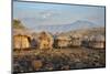 Africa, Ethiopia, Mago National Park, Mursi Tribe, Belle village.-Janis Miglavs-Mounted Photographic Print