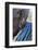 Africa, Ethiopia, Southern Omo Valley, An elderly Nyangton woman.-Ellen Goff-Framed Photographic Print