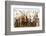 Africa, Ethiopia, Southern Omo Valley. Picture of a typical herd of cattle of the Nyangtom.-Ellen Goff-Framed Photographic Print