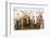 Africa, Ethiopia, Southern Omo Valley. Picture of a typical herd of cattle of the Nyangtom.-Ellen Goff-Framed Photographic Print