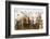 Africa, Ethiopia, Southern Omo Valley. Picture of a typical herd of cattle of the Nyangtom.-Ellen Goff-Framed Photographic Print