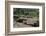 Africa, Ethiopian Highlands, Eastern Amhara, Lalibela, St-Ellen Goff-Framed Photographic Print